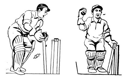 উইকেটের পতন । ক্রিকেট খেলার আইন কানুন 3 উইকেটের পতন