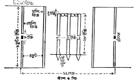 ক্রিকেট ব্যাট