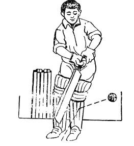 বাই ও লেগ বাই । ক্রিকেট খেলার আইন কানুন 2 বাই ও লেগ বাই