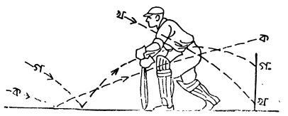 এল. বি. ডব্লিউ বা লেগ বিফোর উইকেট