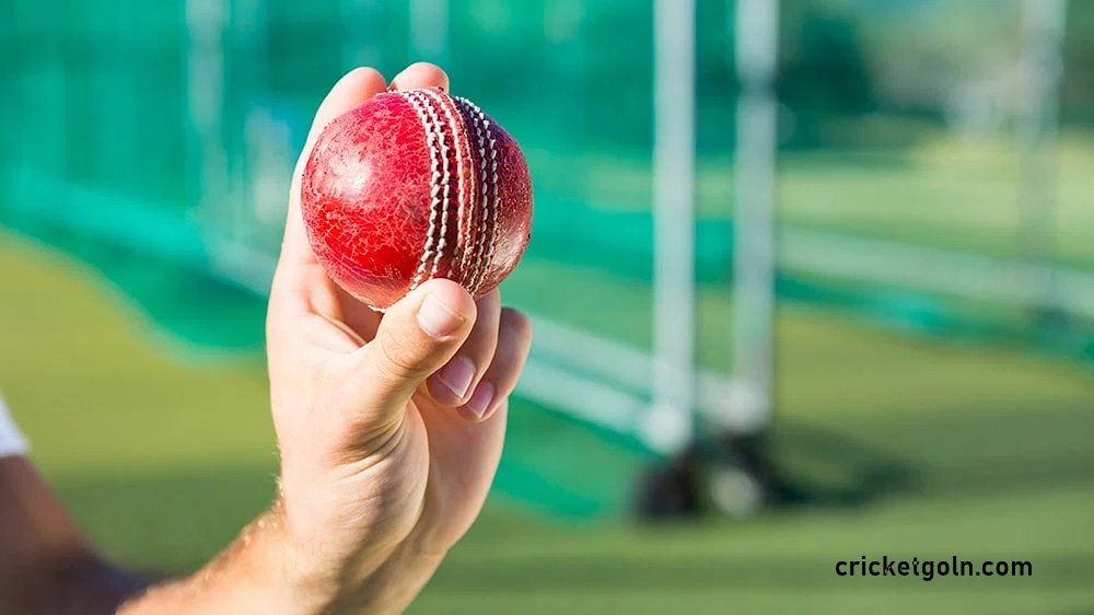 ক্রিকেট খেলার স্কোরার