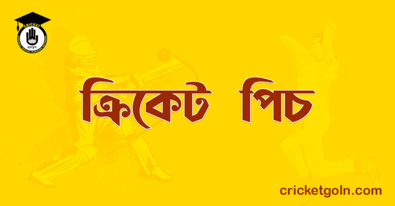 ক্রিকেট পিচ