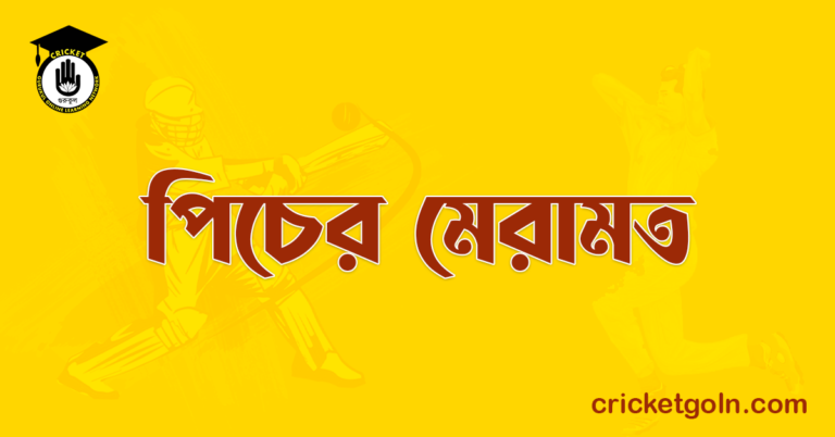 পিচের মেরামত